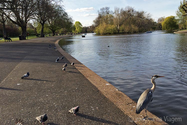 O Regent's Park é lindo e o destino certo para um passeio gostoso e tranquilo.