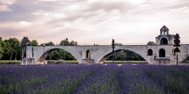 Pont Saint Bénezet - O que fazer em Avignon? © Imagina na Viagem