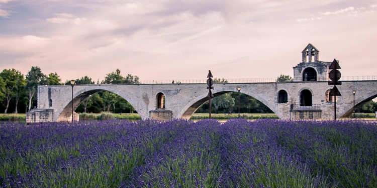 Cidades da França - Avignon © Imagina na Viagem