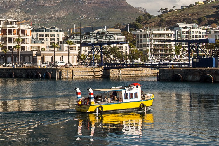 O que fazer em Cape Town © Imagina na Viagem