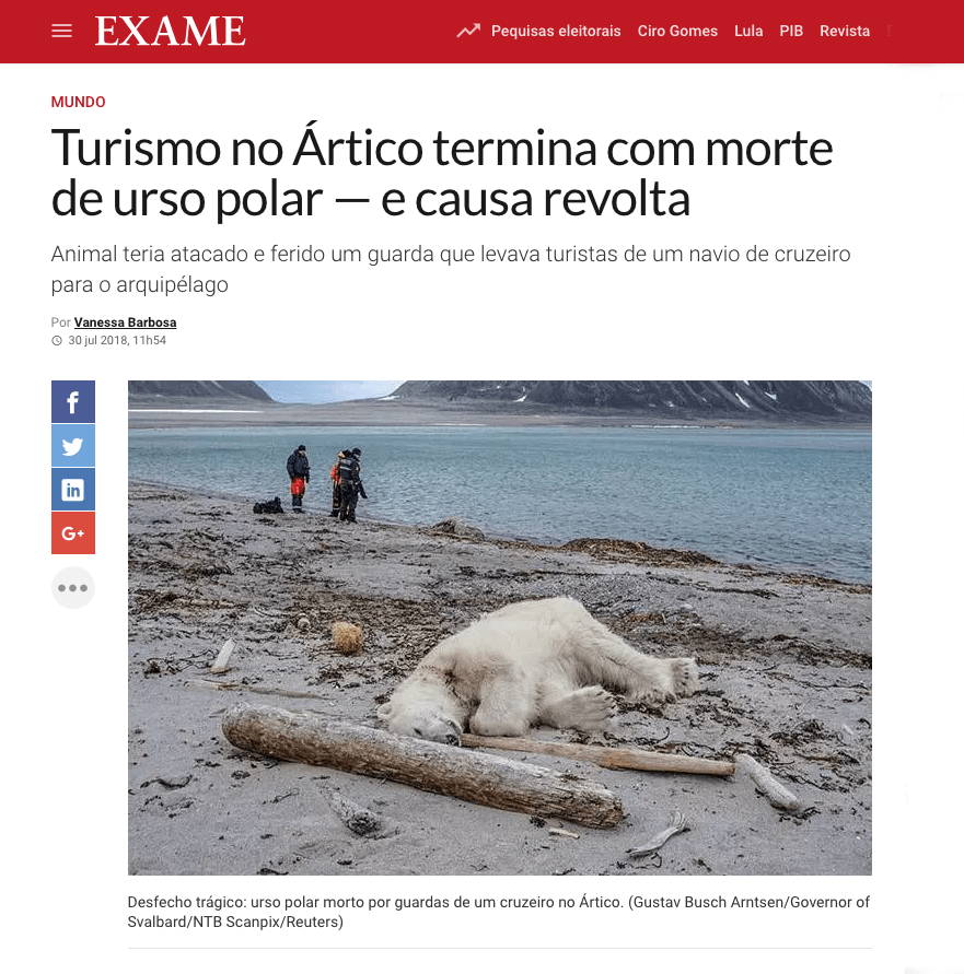 Porque escolhi não fazer Safari na África do Sul. Foto: Exame / Reprodução